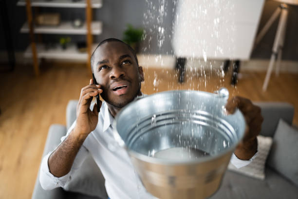 Best Local water damage restoration  in Lake Katrine, NY