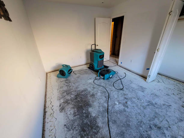 Best Sewage cleanup and water damage restoration  in Lake Katrine, NY