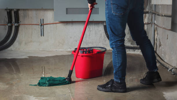 Best Water damage restoration experts  in Lake Katrine, NY