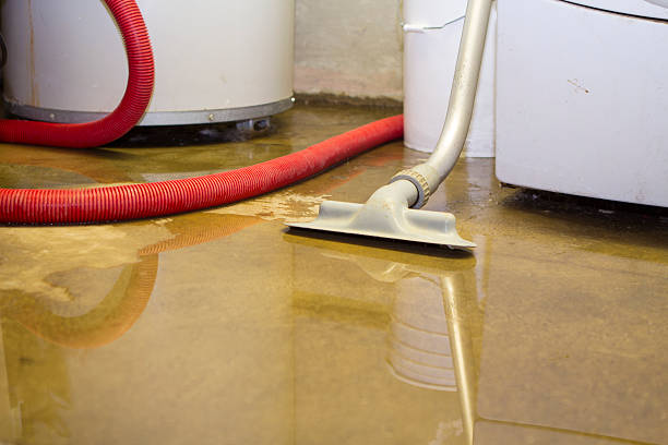  Lake Katrine, NY Water damage restoration Pros